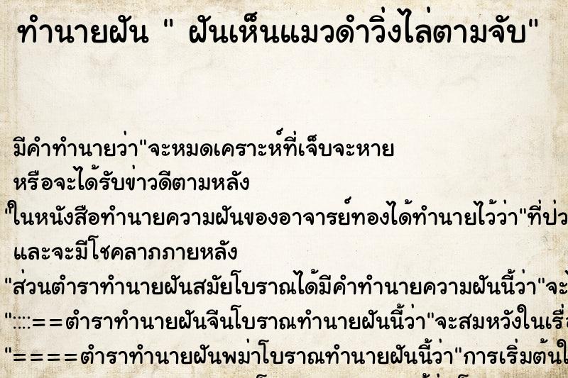 ทำนายฝัน ฝันเห็นแมวดำวิ่งไล่ตามจับ ทำนายฝัน ฝันเห็นแมวดำวิ่งไล่ตามจับ